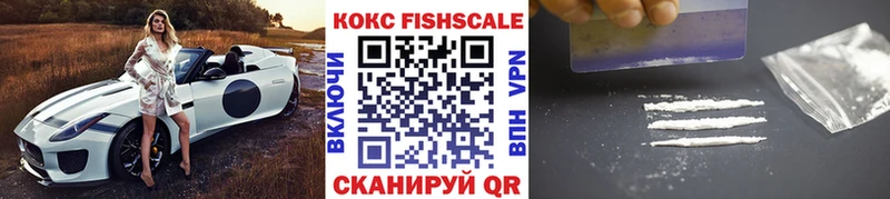 COCAIN FishScale  это какой сайт  Шуя 