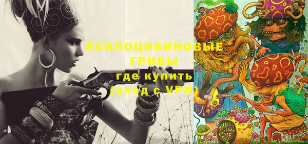 соль ск Алзамай
