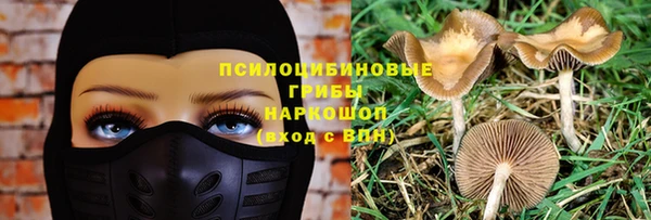 соль ск Алзамай