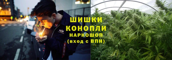 спайс Алексин