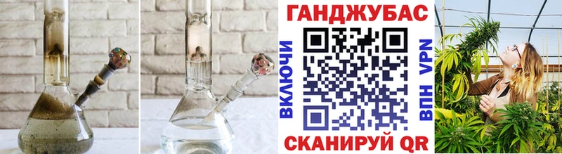 Каннабис OG Kush  Шуя 